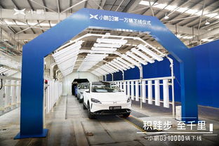 智能運營賦能，雙月領跑新勢力賽道——解析連續登頂背后的戰略密碼